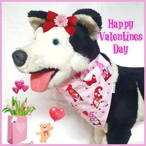 🐶 3 for $15 * Pablos Valentines Over The Collar Dog Bandana